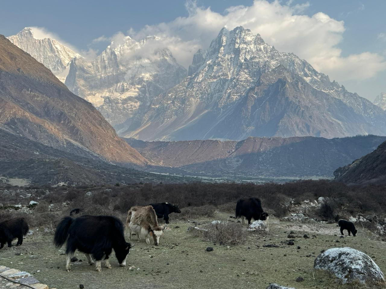 Kanchenjunga Circuit Trek